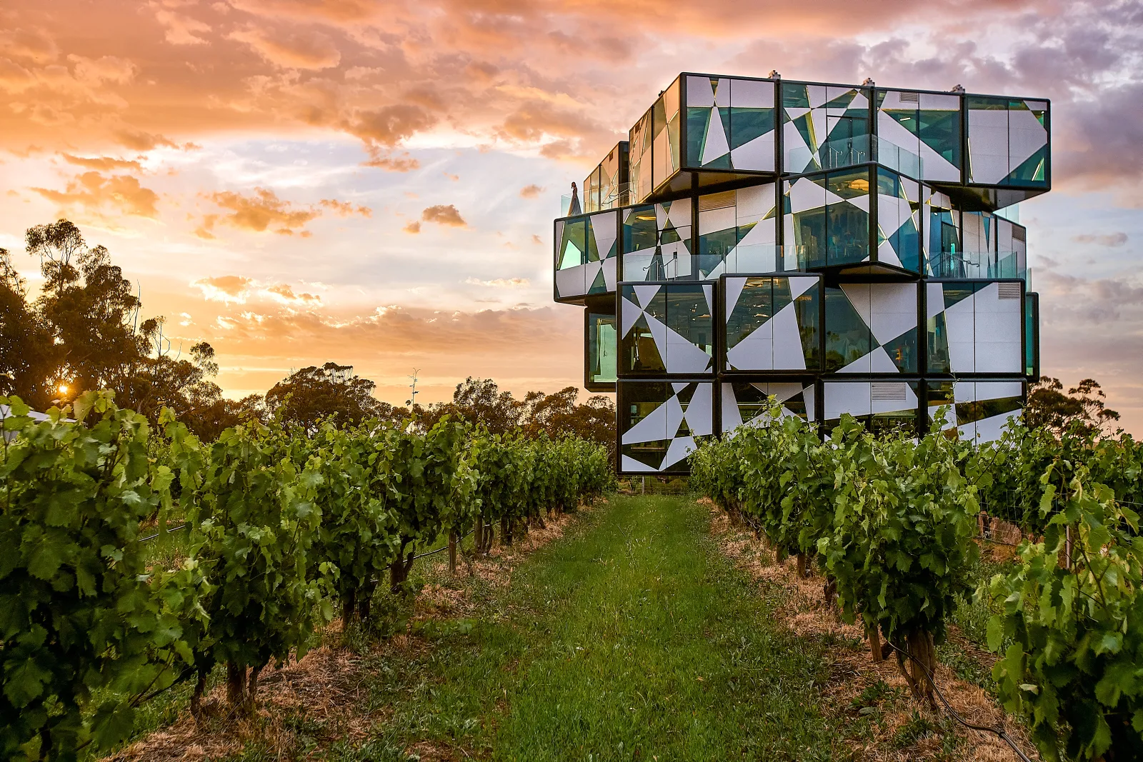 The Cube at McLaren Vale
