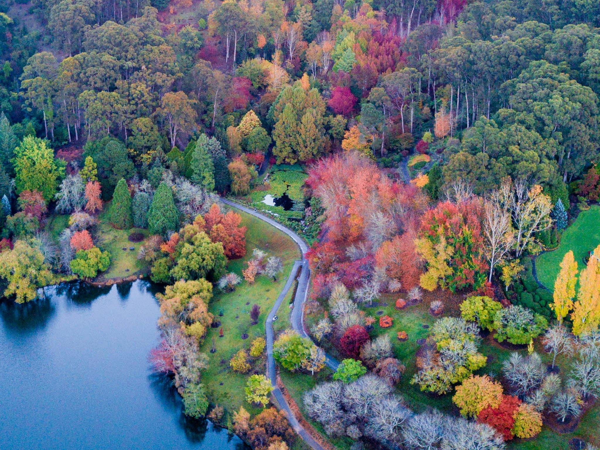 Mount Lofty Botanic Gardens